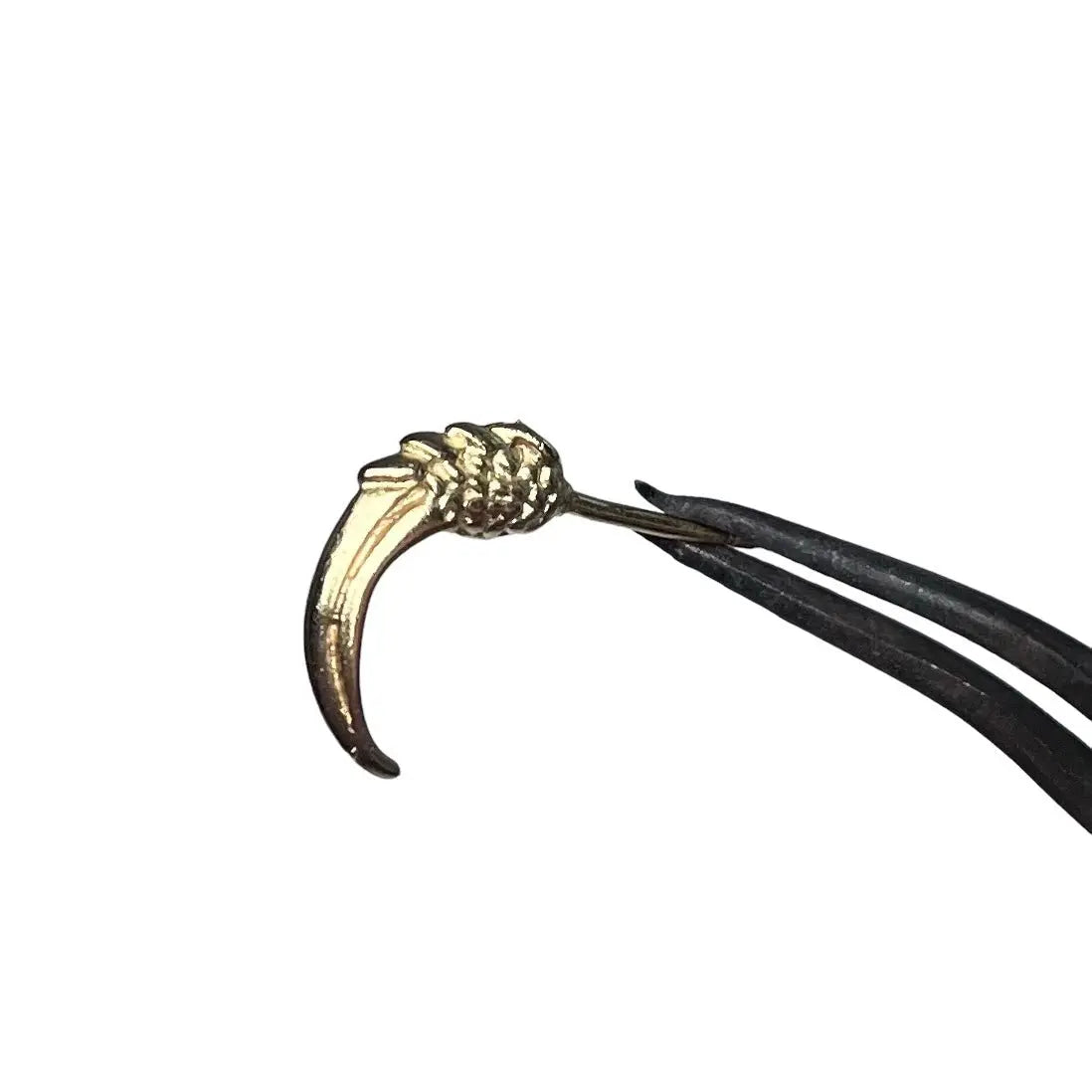 Stiftörhänge - Klo - L8Hasselblad