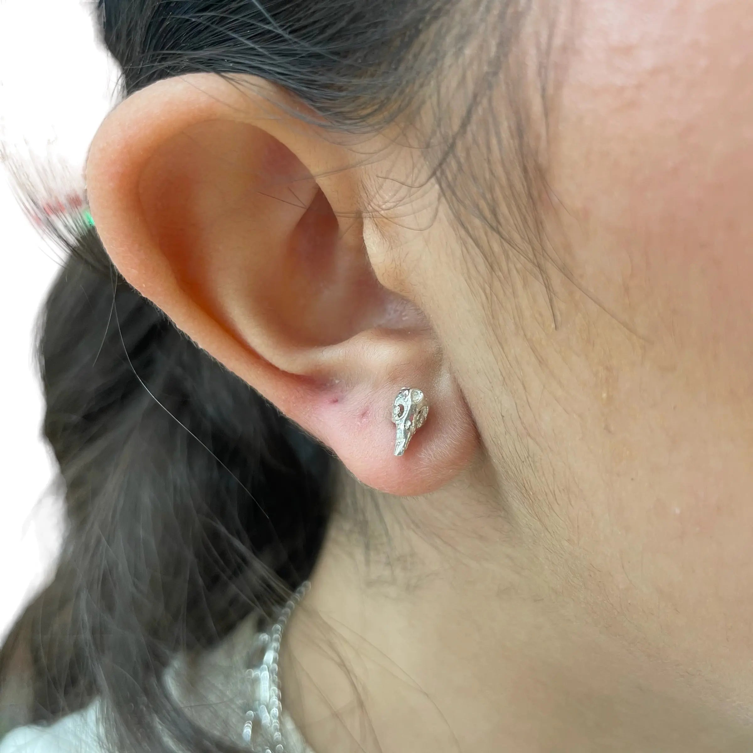 Stiftörhänge - Kranier - L8Hasselblad