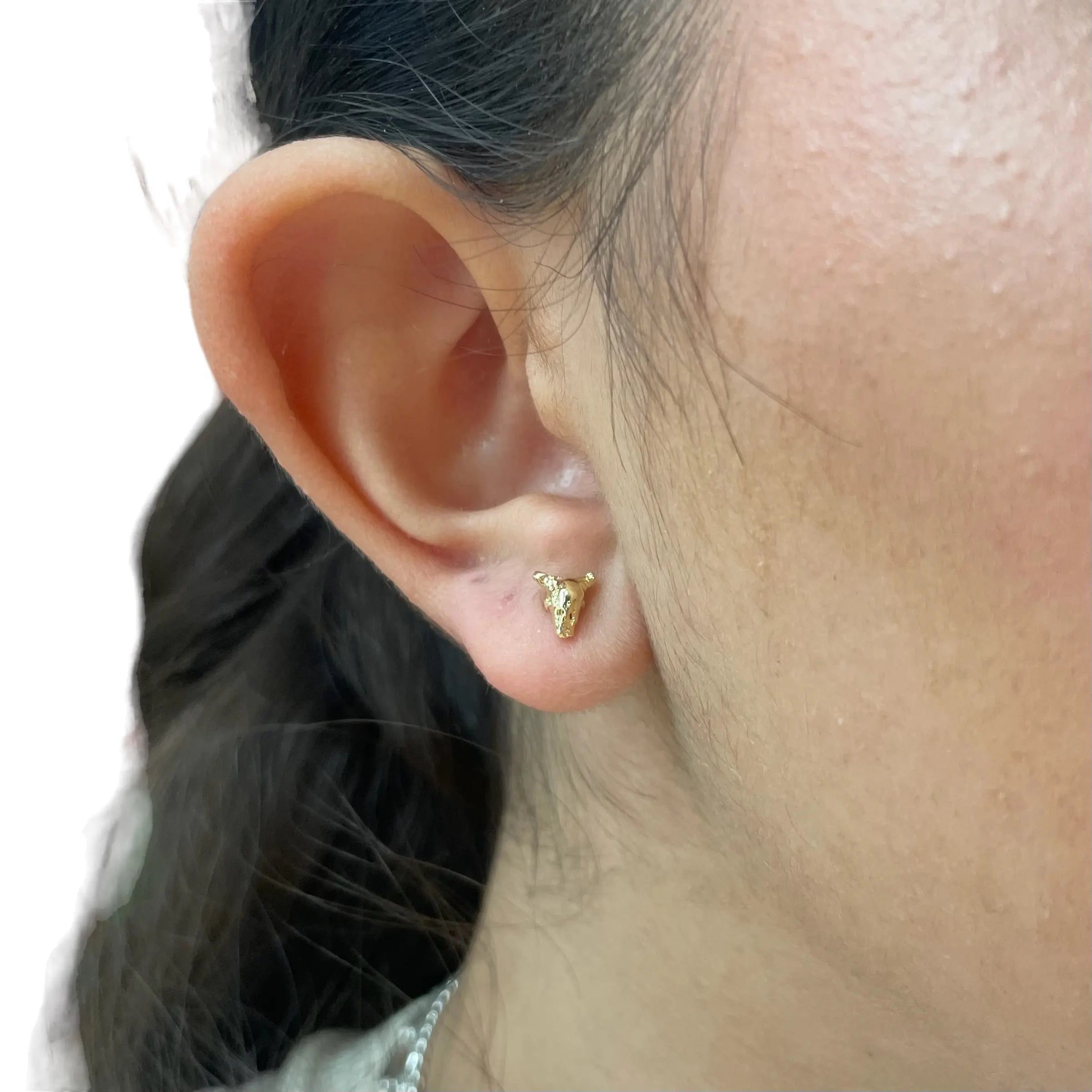 Stiftörhänge - Kranier - L8Hasselblad