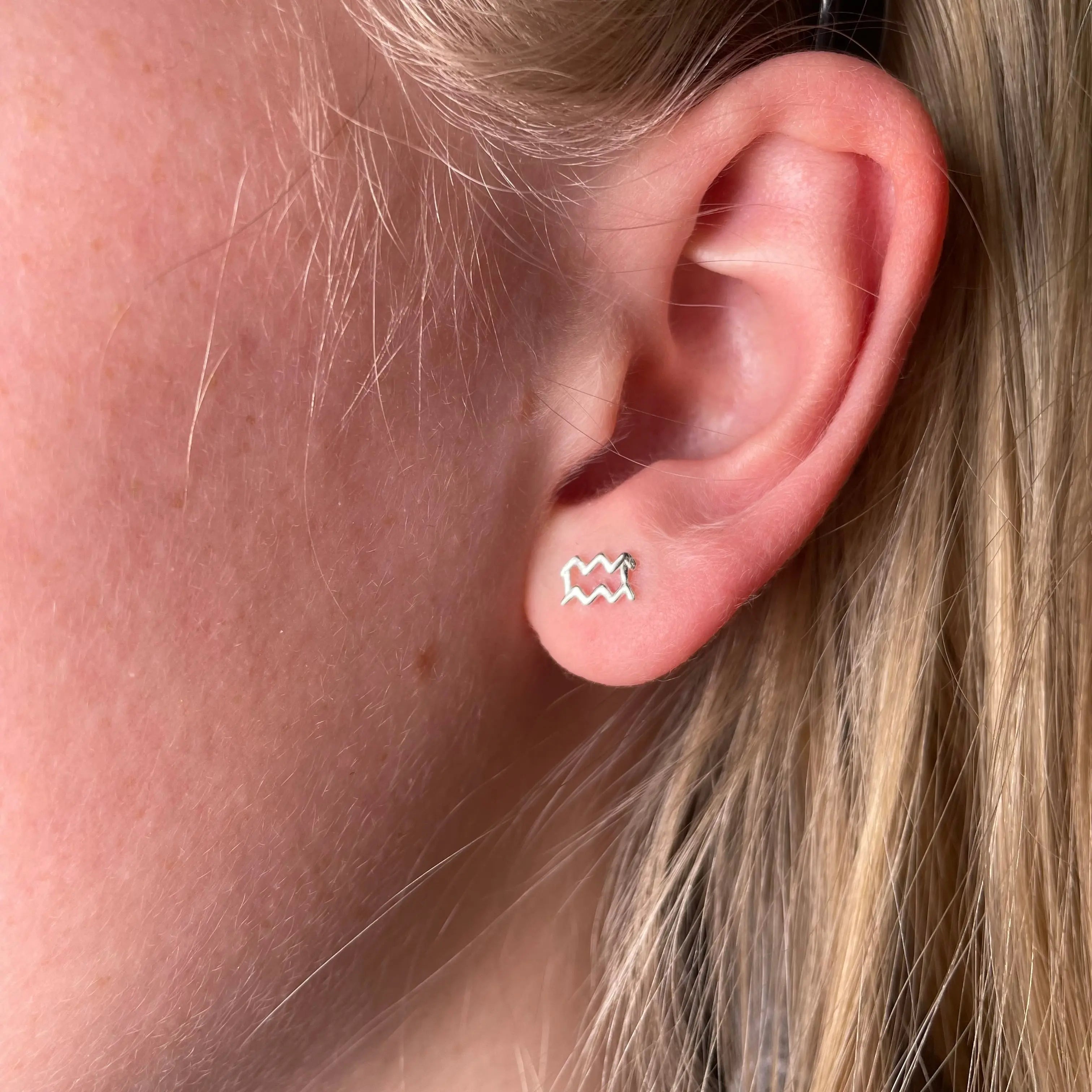 Stiftörhänge - Stjärntecken - L8Hasselblad