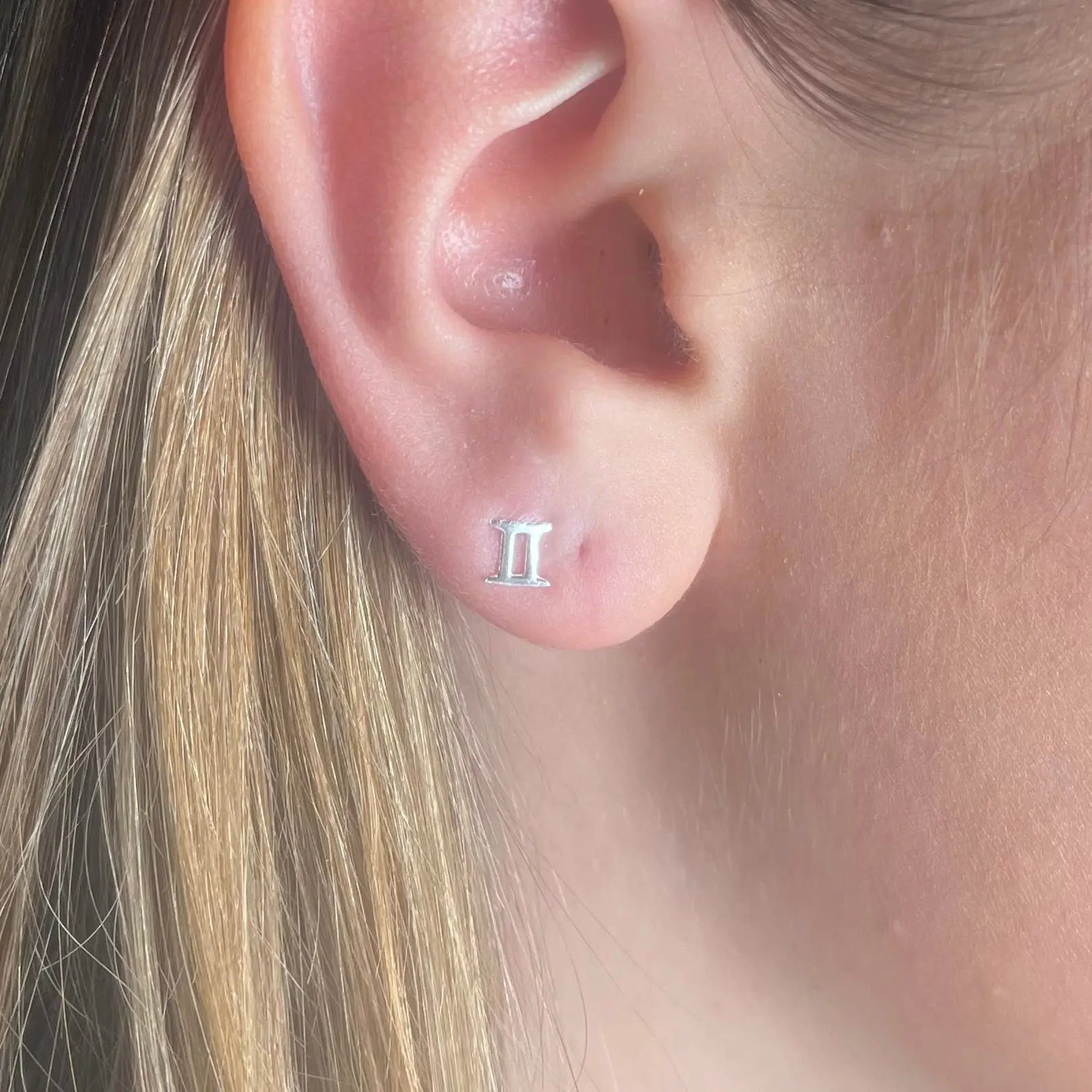 Stiftörhänge - Stjärntecken - L8Hasselblad