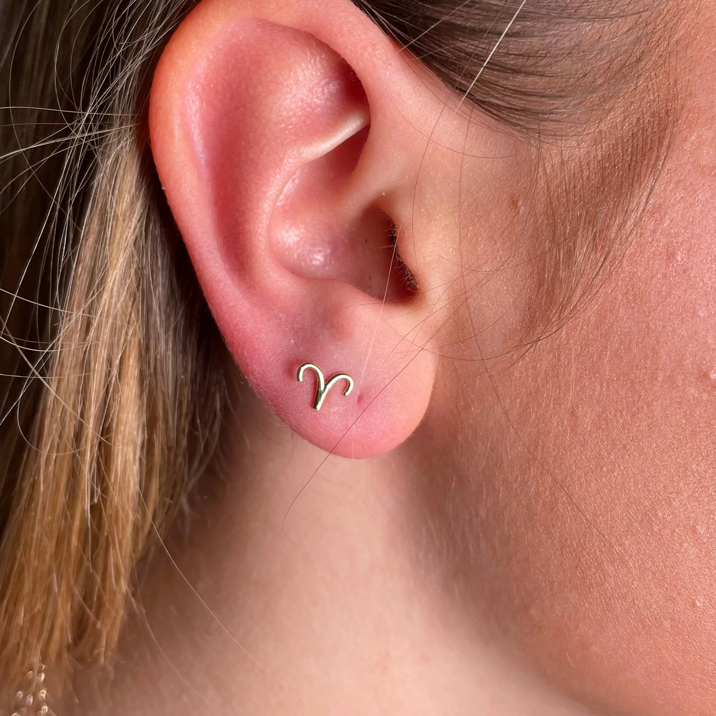 Stiftörhänge - Stjärntecken - L8Hasselblad