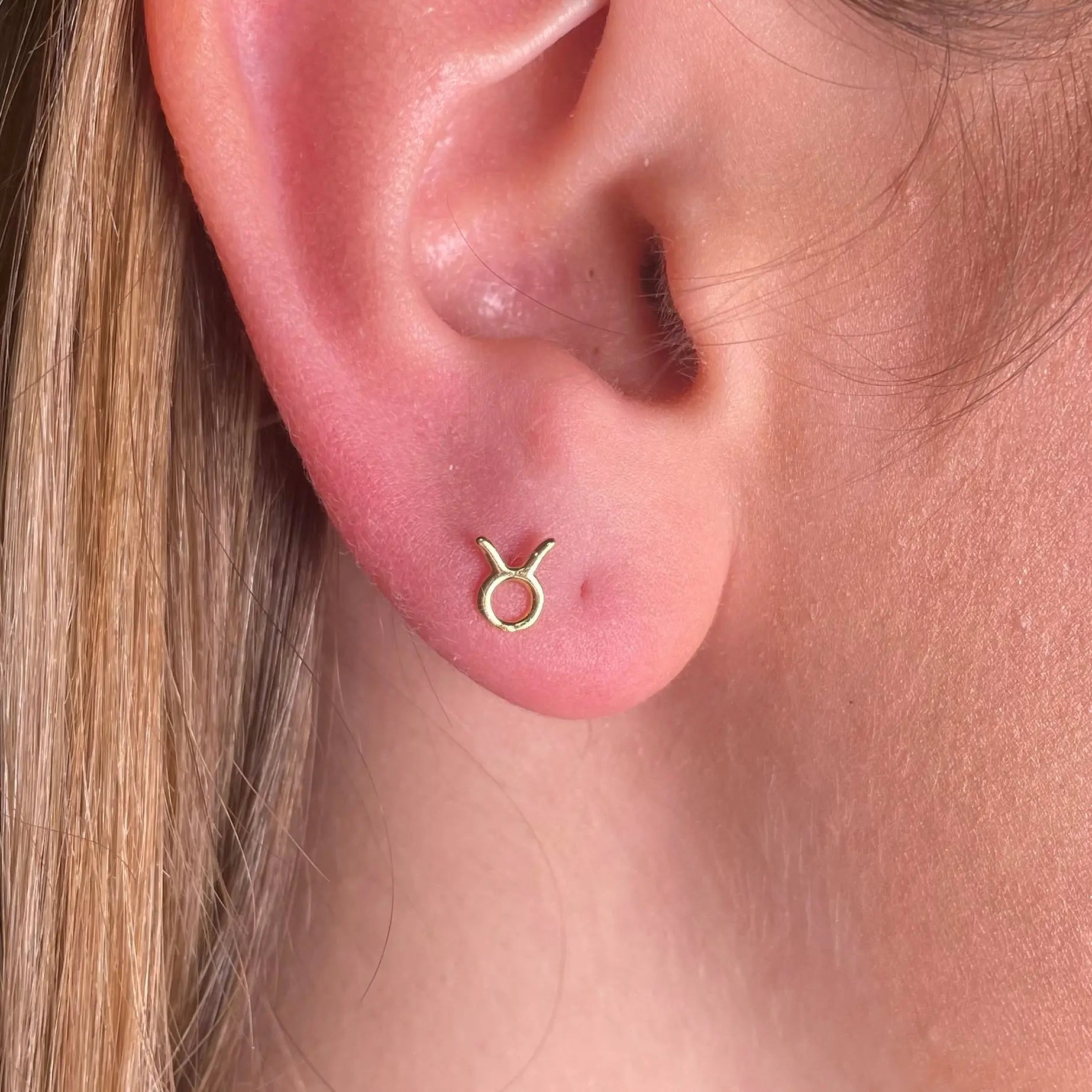 Stiftörhänge - Stjärntecken - L8Hasselblad