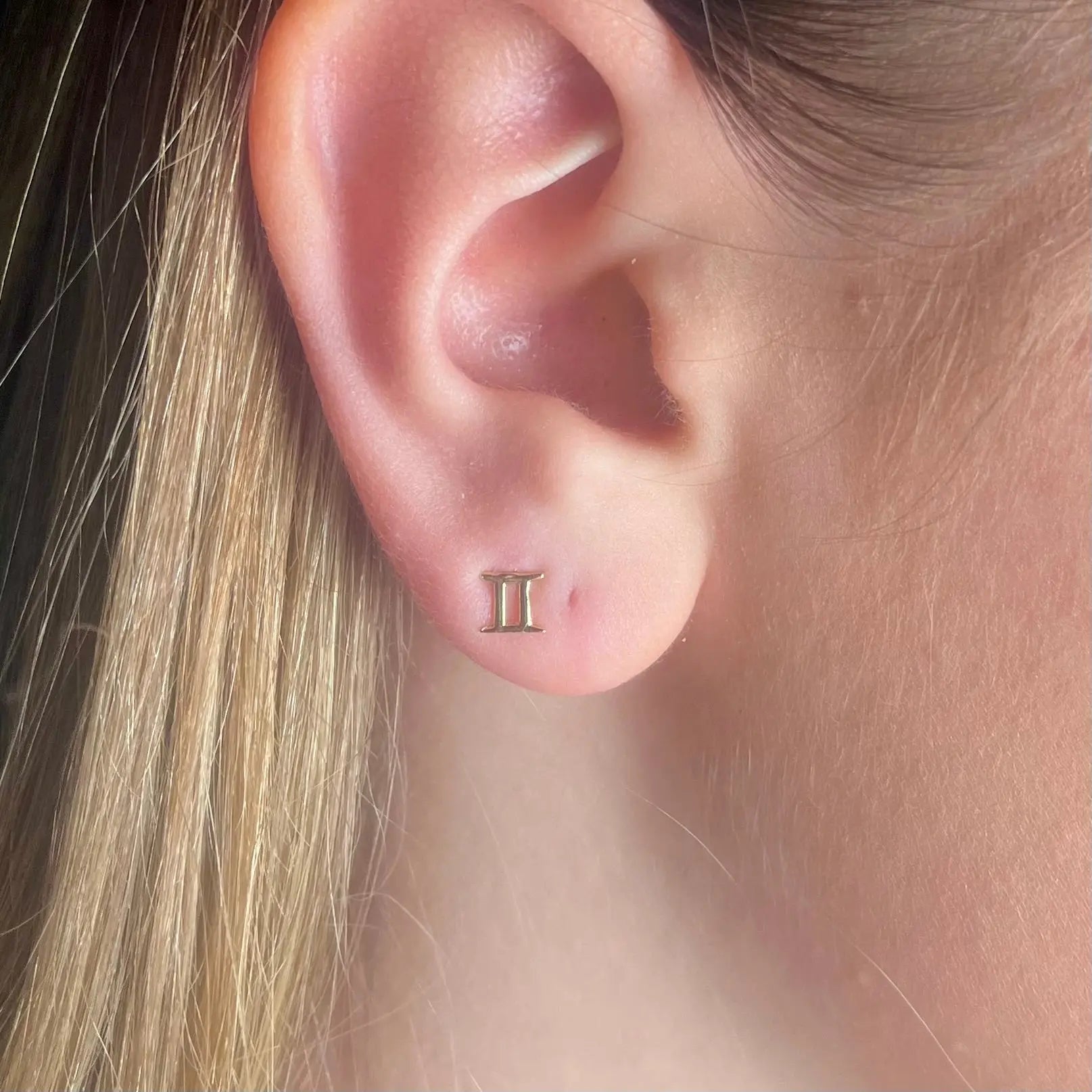 Stiftörhänge - Stjärntecken - L8Hasselblad