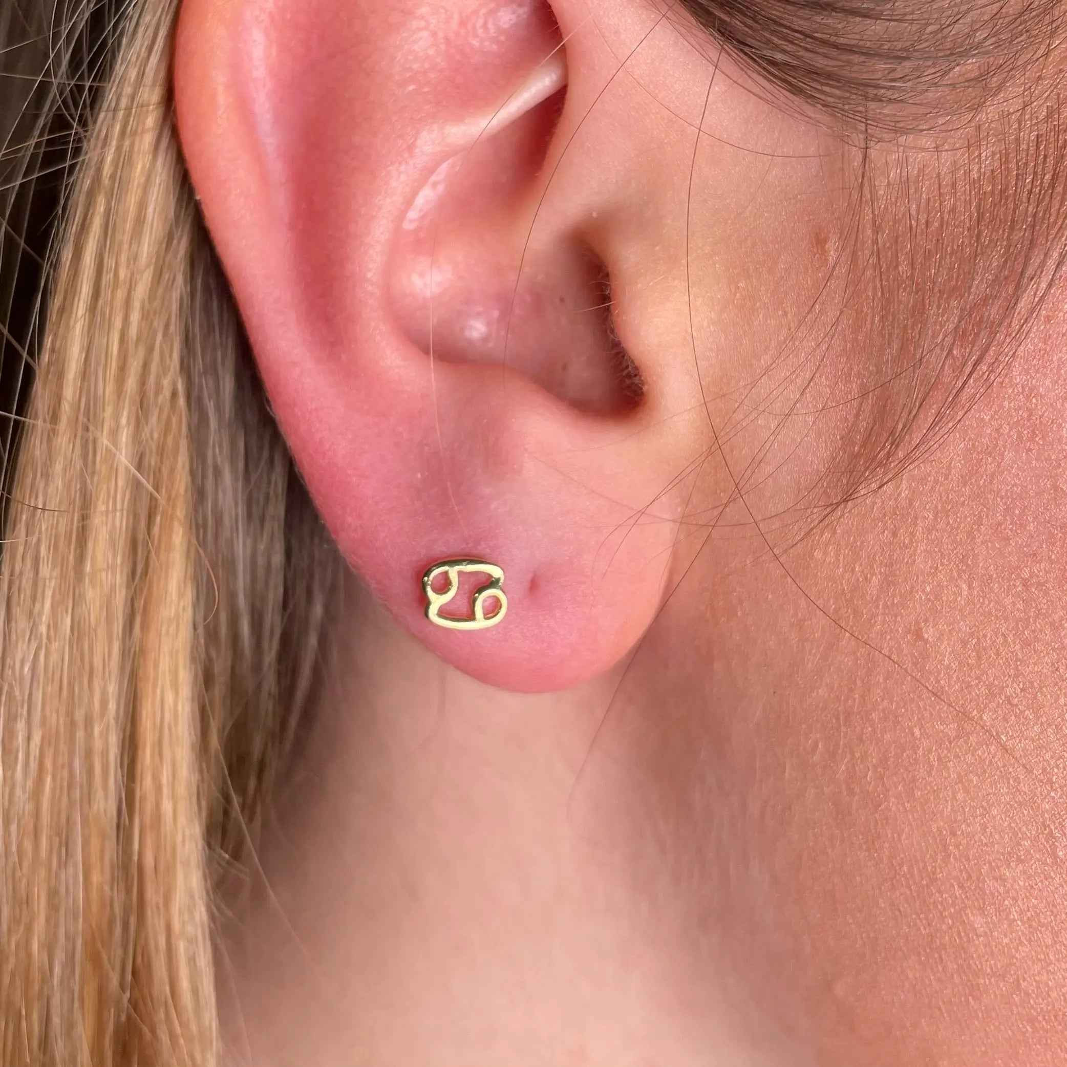 Stiftörhänge - Stjärntecken - L8Hasselblad