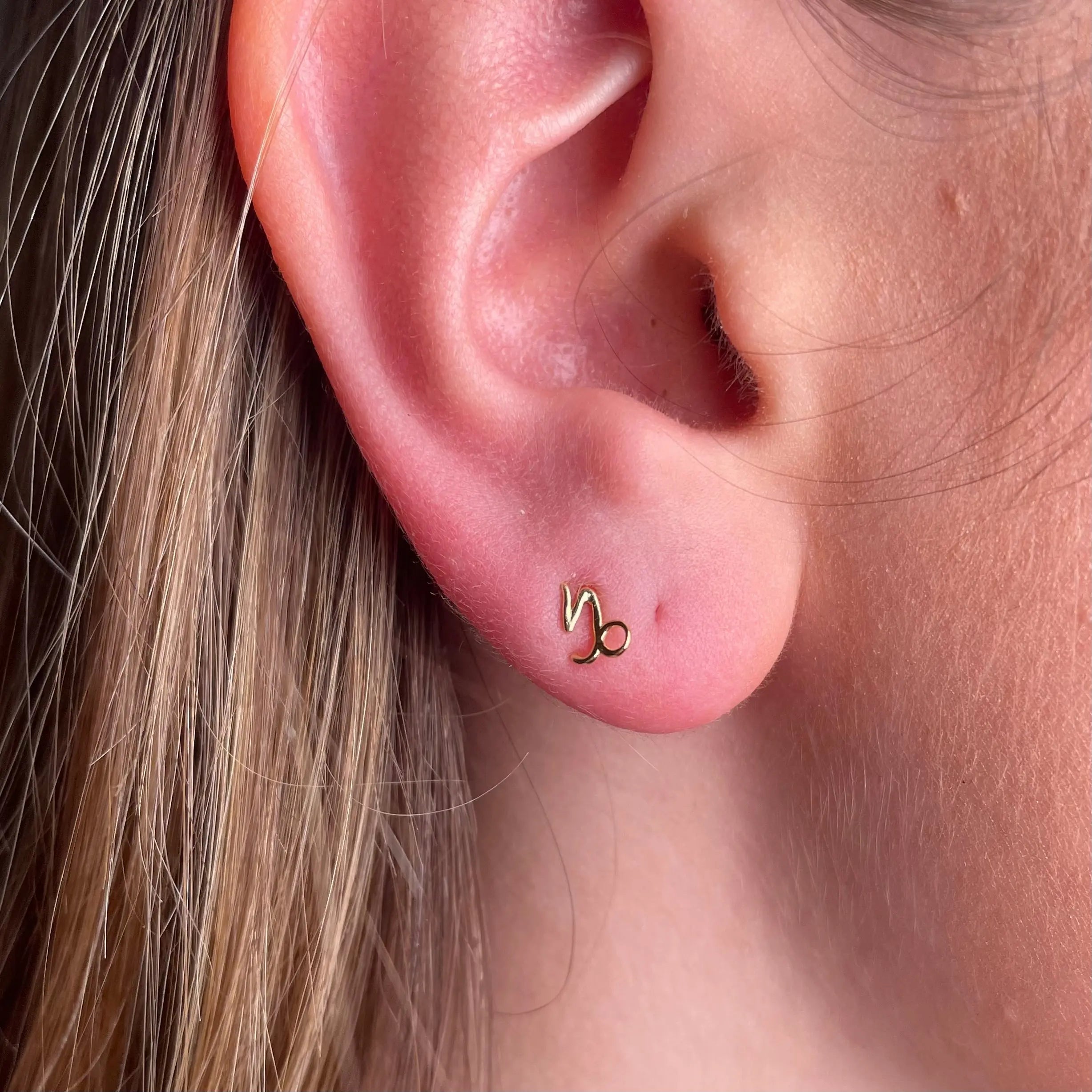 Stiftörhänge - Stjärntecken - L8Hasselblad