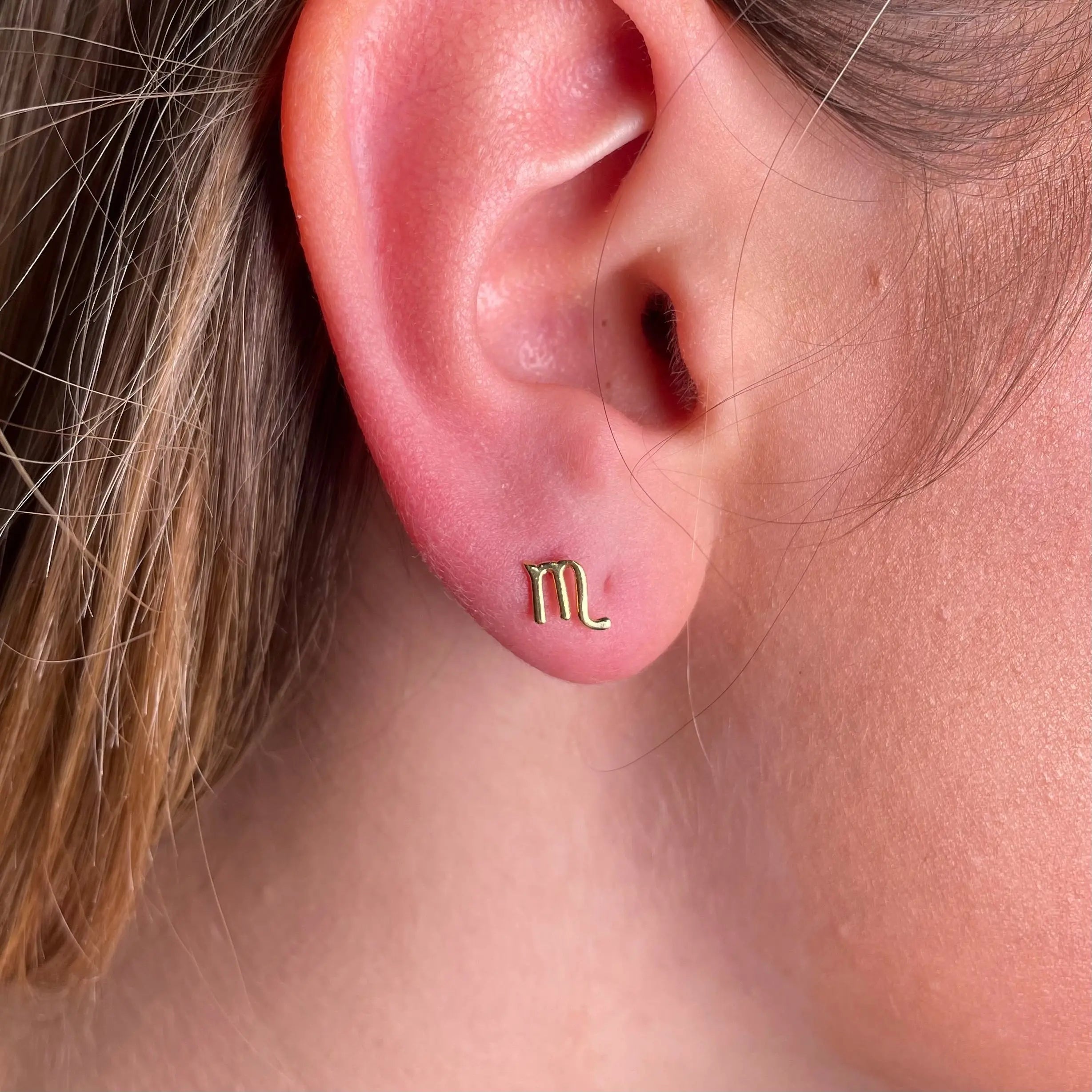 Stiftörhänge - Stjärntecken - L8Hasselblad