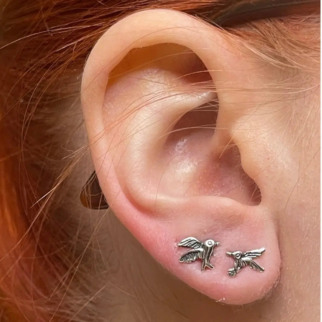 Stiftörhänge med kolibri - L8Hasselblad