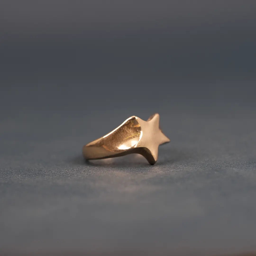 Stjärnklackring i 18k guld L8Hasselblad