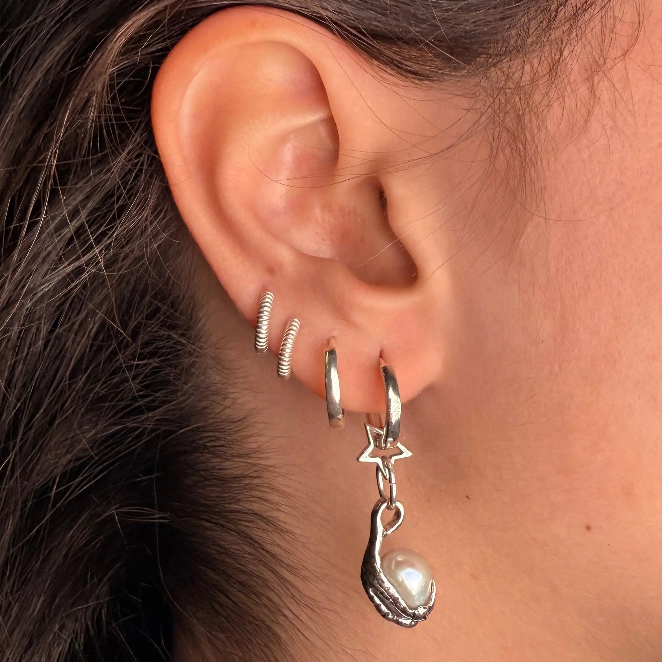 Stjärnklo - L8Hasselblad