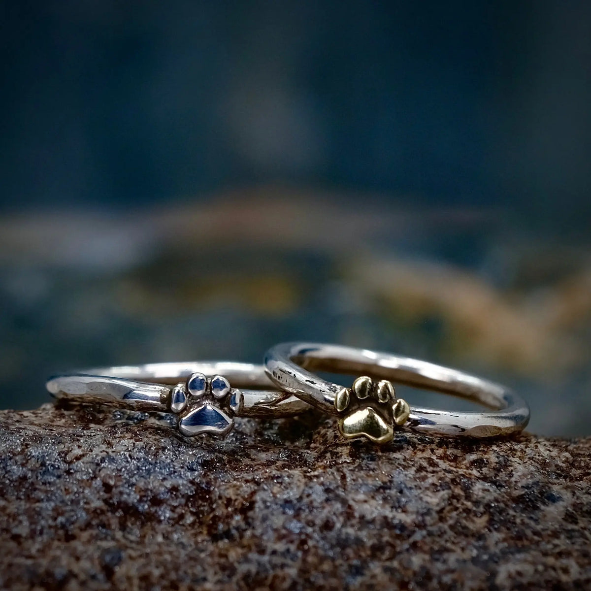 Tass - 2mm Ring L8Hasselblad