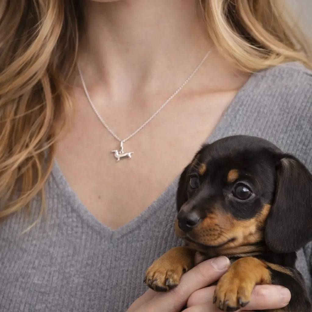 Taxen - halsband L8Hasselblad