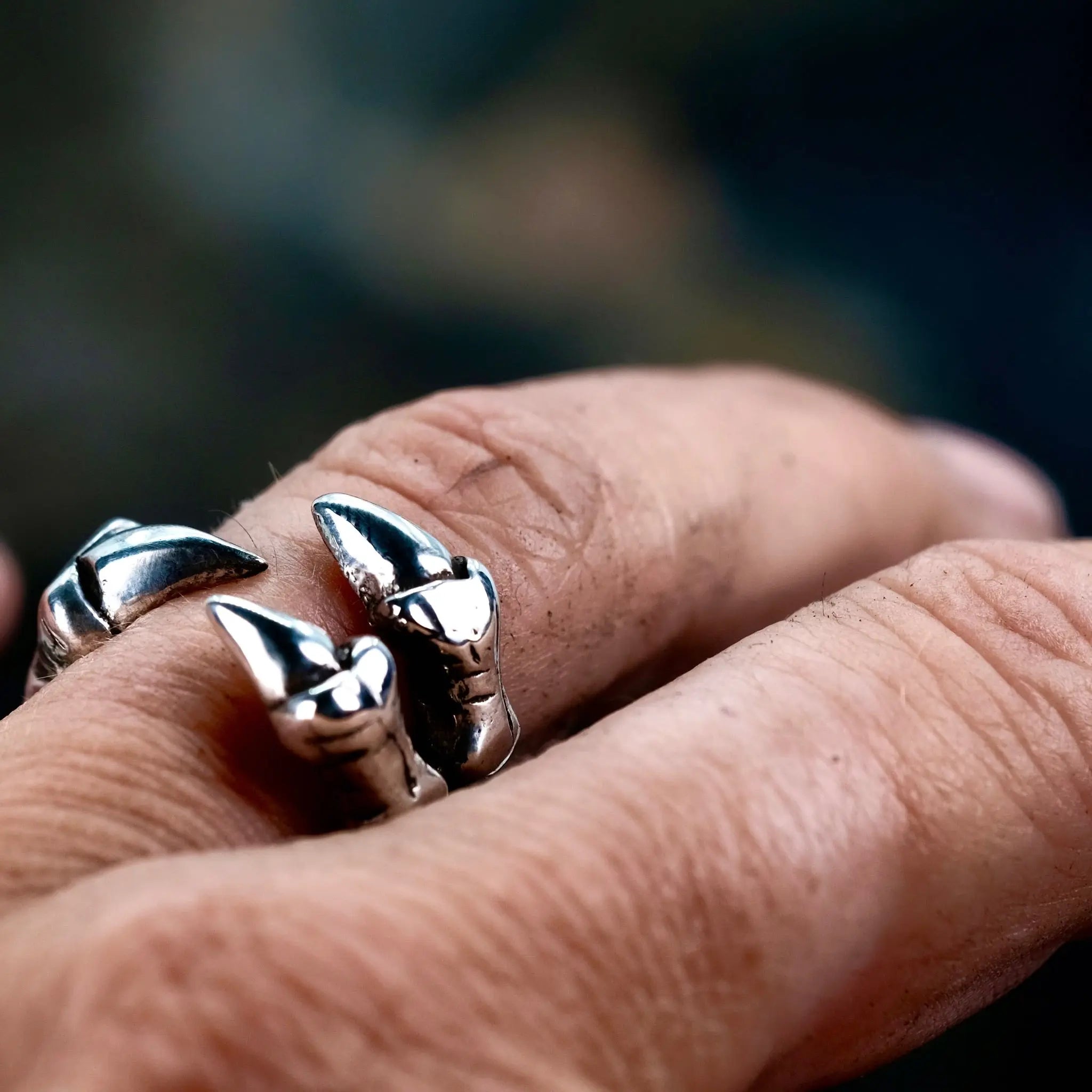 The Claw - Ring L8Hasselblad