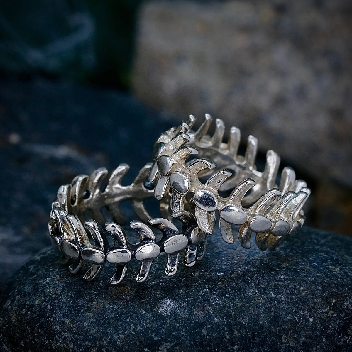 The Spine - Ring L8Hasselblad