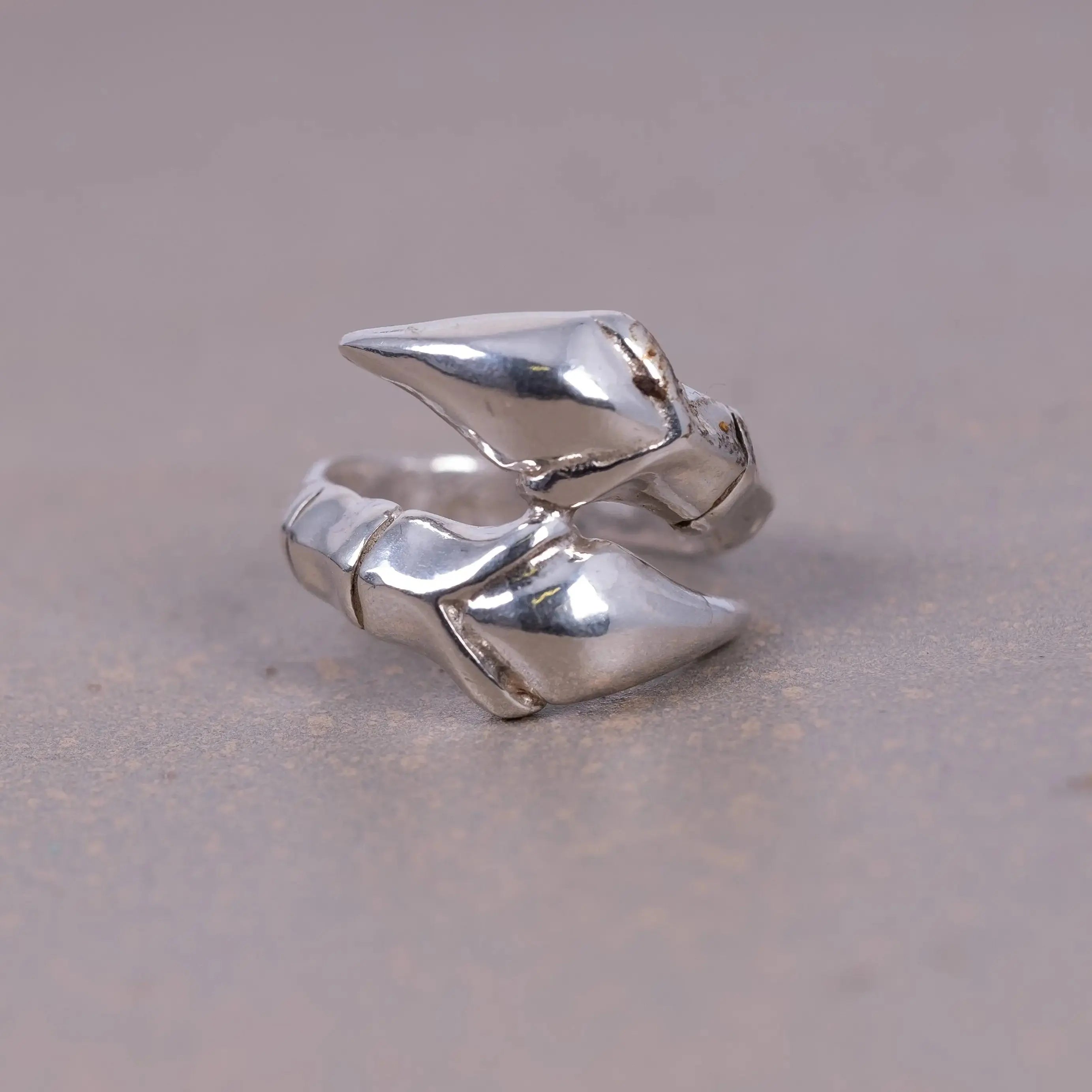 Klo-ring silver L8Hasselblad