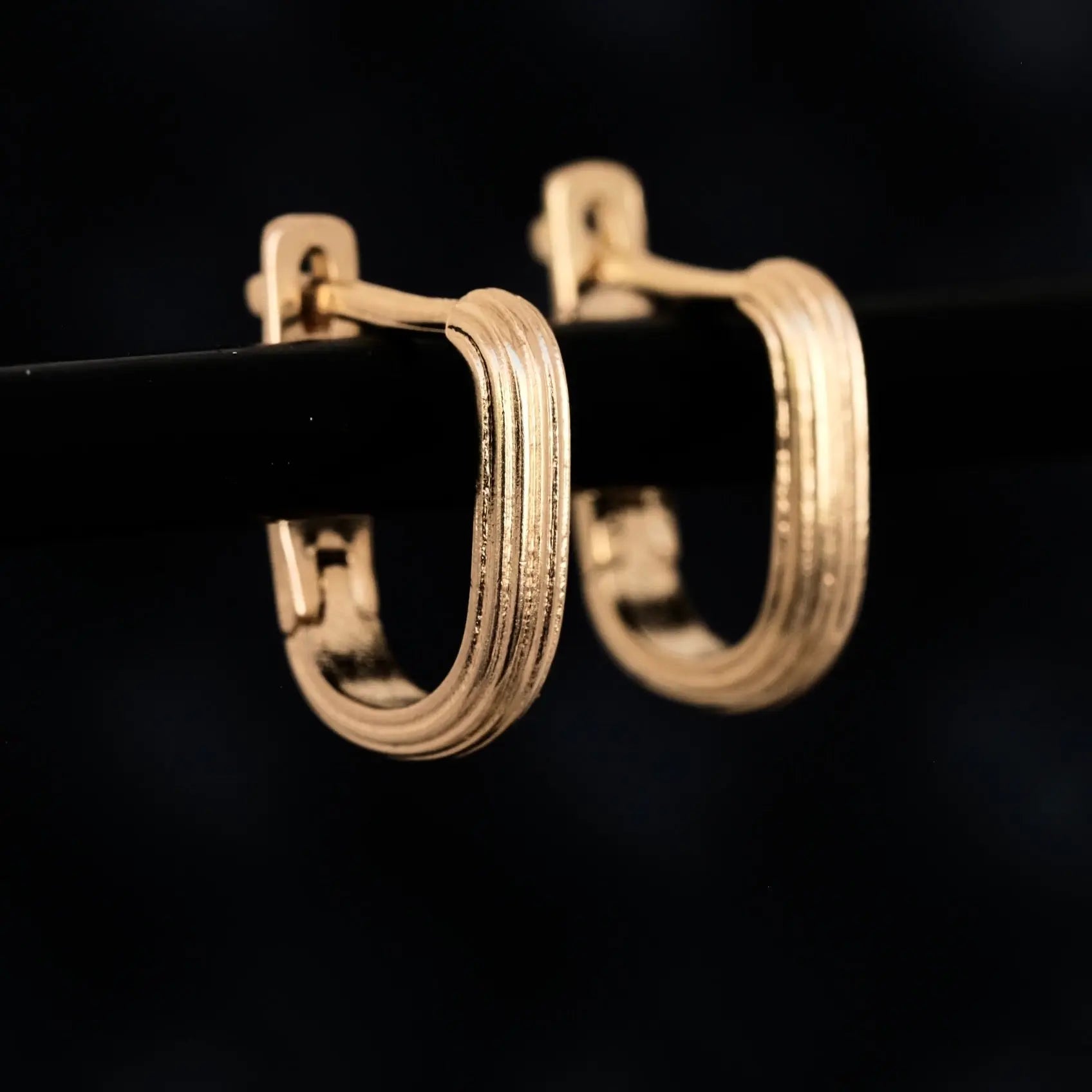 Track Hoops L8Hasselblad