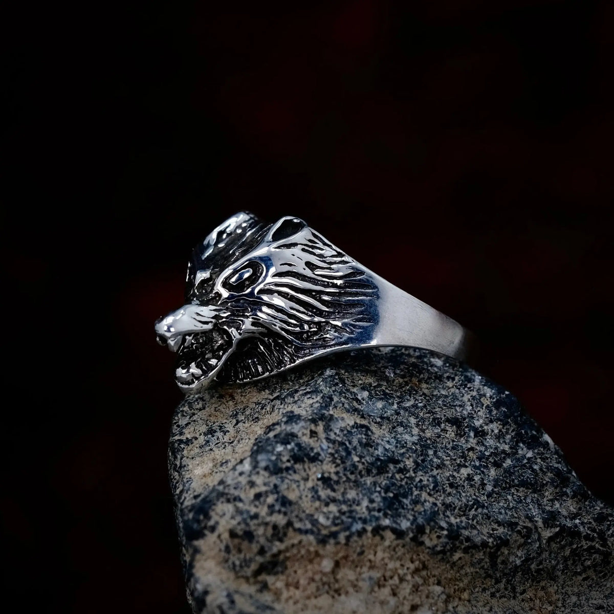 Vargen - Ring L8Hasselblad