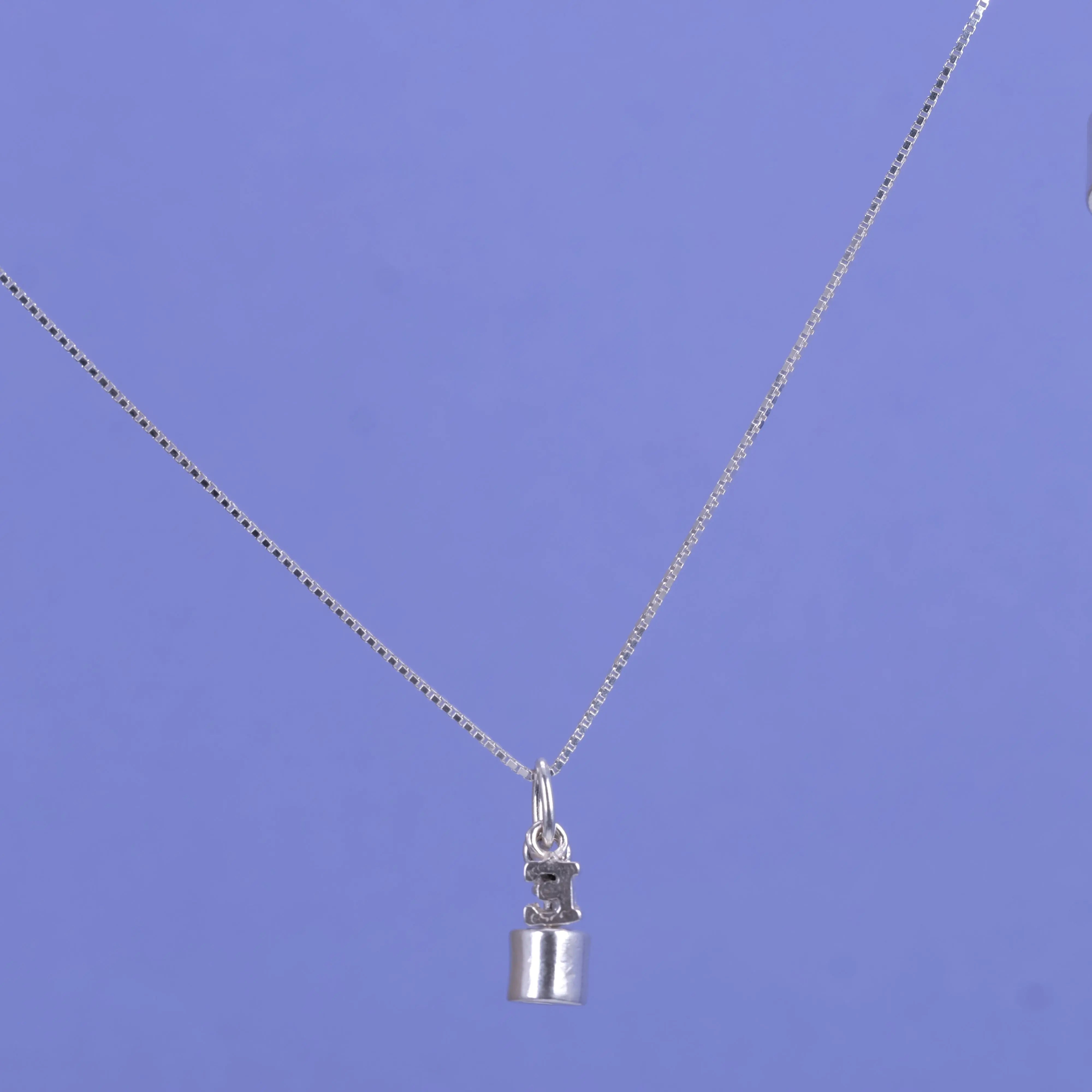 Vikterna - silverhalsband L8Hasselblad